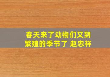 春天来了动物们又到繁殖的季节了 赵忠祥